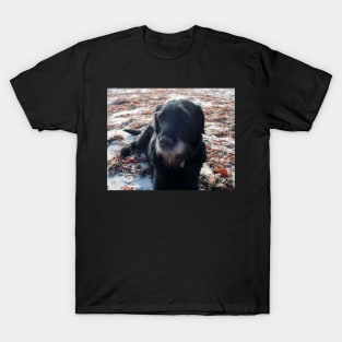 A very sweet old lady with a white beard T-Shirt